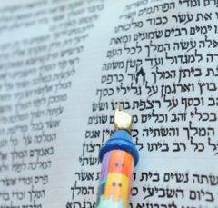 Banner Image for Zoom Torah Study